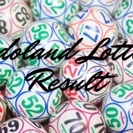 Results for Bodoland Lottery Result | A Comprehensive Guide